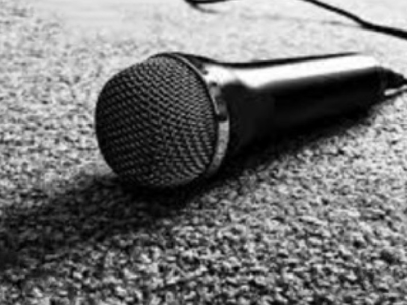 A black and white photo of a microphone