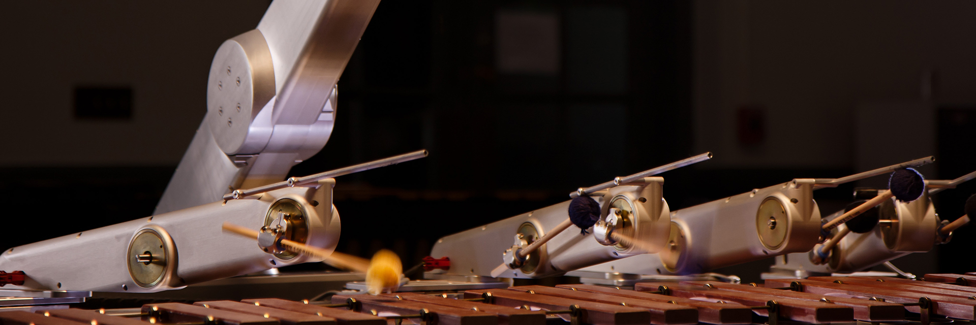 An image of Shimon playing the marimbas.